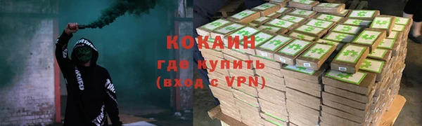 прущие грибы Володарск