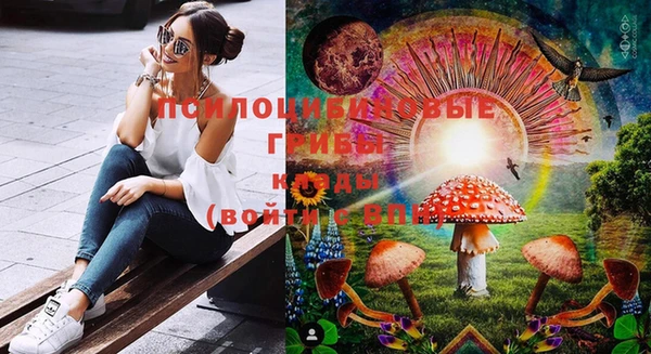 хмурый Весьегонск
