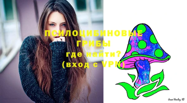 спиды Бугульма