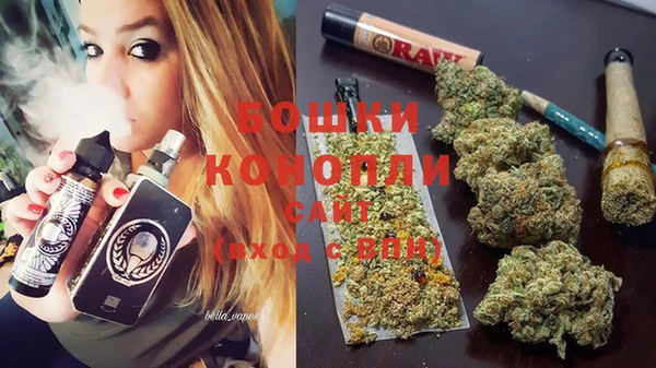 амф Бронницы
