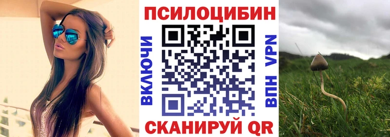 Псилоцибиновые грибы прущие грибы  маркетплейс наркотические препараты  Гай  наркошоп 